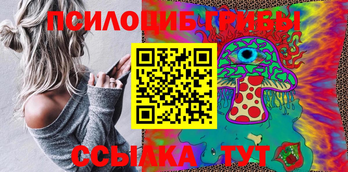 Псилоцибиновые грибы Psilocybine cubensis  Псилоцибиновые грибы Psilocybe  Унеча 